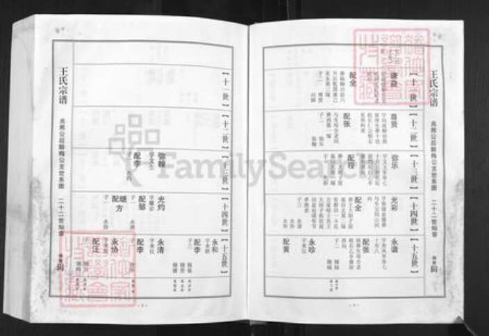 湖北省孝感市湖北省孝感市孝南区王氏三槐堂族谱-王氏宗谱.澴川梁城端口系.pdf电子版预览图4