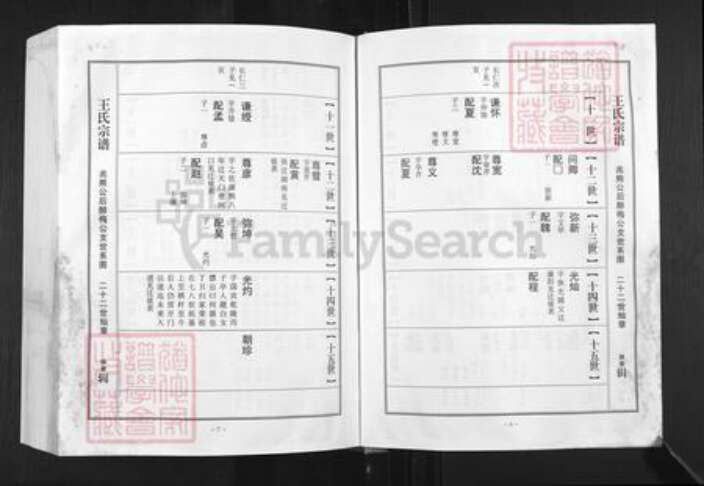 湖北省孝感市湖北省孝感市孝南区王氏三槐堂族谱-王氏宗谱.澴川梁城端口系.pdf电子版预览图5