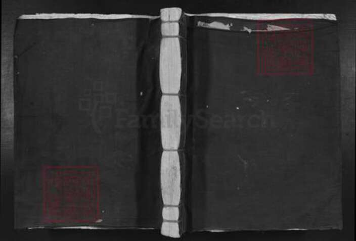 广东省韶关市南雄市南亩镇王氏族谱-鱼溪先祖堂王氏族谱.pdf电子版缩略图