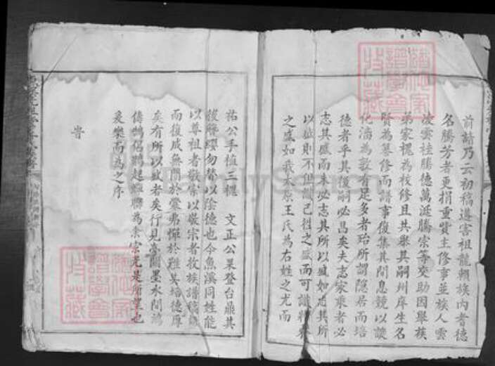 广东省韶关市南雄市南亩镇王氏族谱-鱼溪先祖堂王氏族谱.pdf电子版预览图2