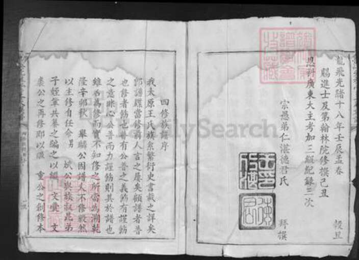 广东省韶关市南雄市南亩镇王氏族谱-鱼溪先祖堂王氏族谱.pdf电子版预览图3