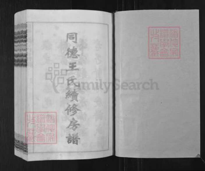 湖南省娄底市双峰县王氏三槐堂族谱-同德王氏续修房谱.pdf电子版预览图1