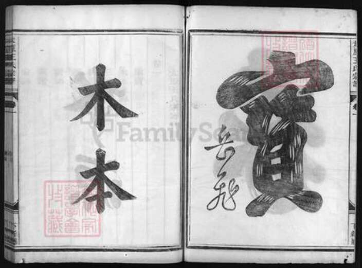 浙江省王氏族谱-太原王氏宗谱 [4卷].pdf电子版预览图2