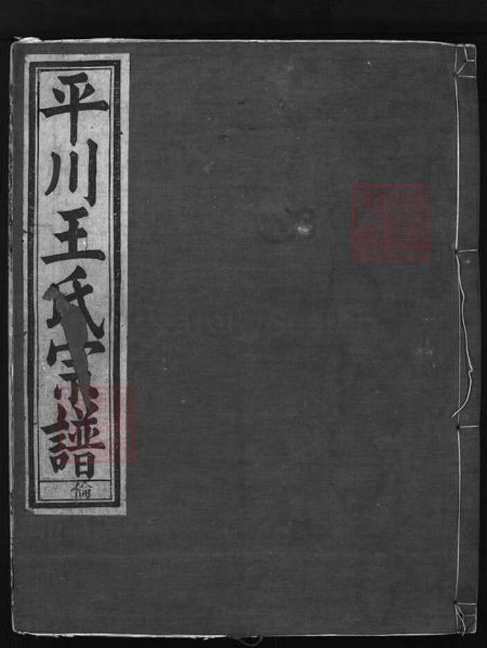 浙江省王氏族谱-平川王氏宗谱 [不分卷].pdf电子版缩略图