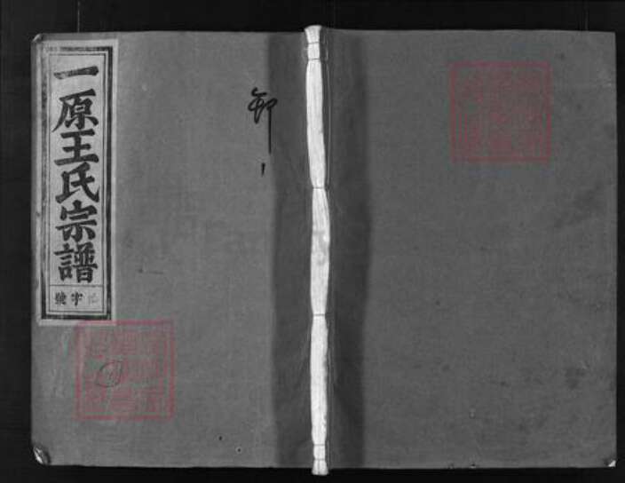 浙江省金华市金华王氏族谱-一原王氏宗谱 [12卷,含卷首].pdf电子版缩略图