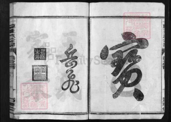 浙江省金华市金华王氏族谱-一原王氏宗谱 [12卷,含卷首].pdf电子版预览图2