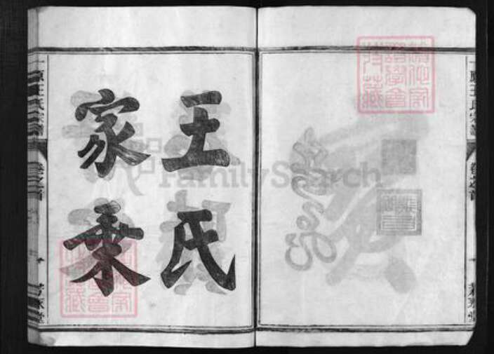 浙江省金华市金华王氏族谱-一原王氏宗谱 [12卷,含卷首].pdf电子版预览图3