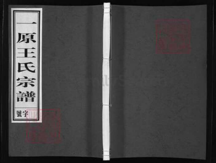 浙江省金华市金华王氏族谱-一原王氏宗谱 [14卷].pdf电子版缩略图