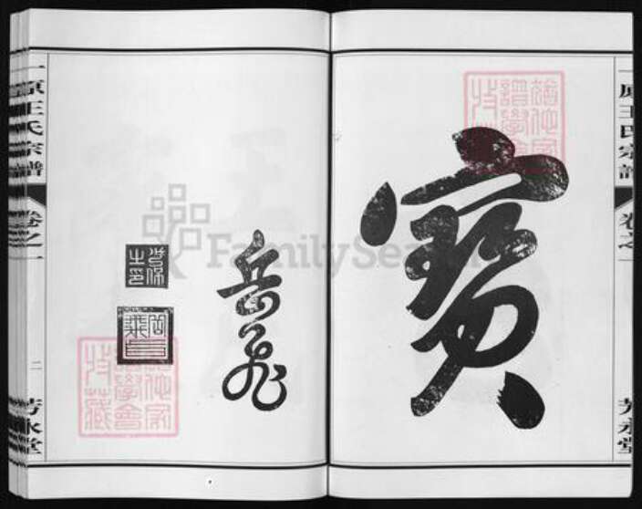 浙江省金华市金华王氏族谱-一原王氏宗谱 [14卷].pdf电子版预览图2