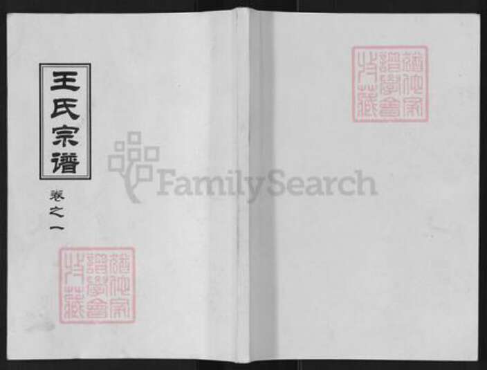 江苏省盐城市阜宁县新沟镇王氏族谱-沙湾王氏宗谱.pdf电子版缩略图