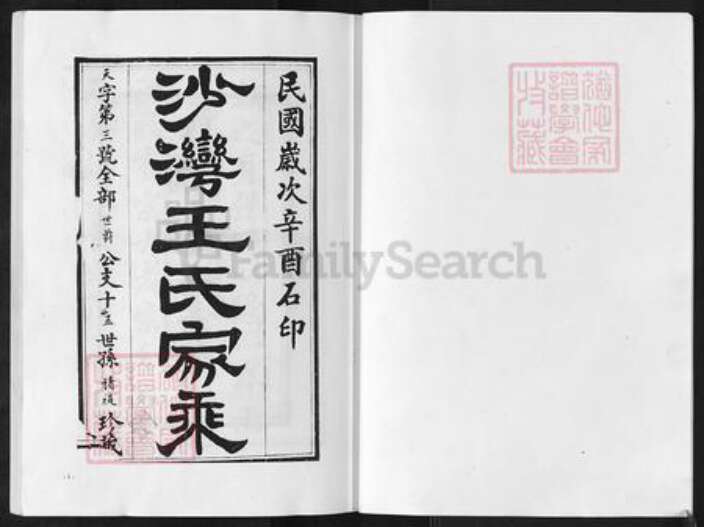 江苏省盐城市阜宁县新沟镇王氏族谱-沙湾王氏宗谱.pdf电子版预览图1