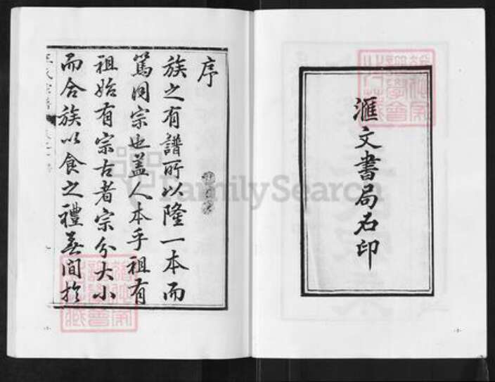 江苏省盐城市阜宁县新沟镇王氏族谱-沙湾王氏宗谱.pdf电子版预览图2