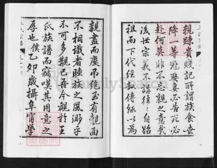 江苏省盐城市阜宁县新沟镇王氏族谱-沙湾王氏宗谱.pdf电子版预览图3