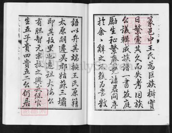 江苏省盐城市阜宁县新沟镇王氏族谱-沙湾王氏宗谱.pdf电子版预览图4