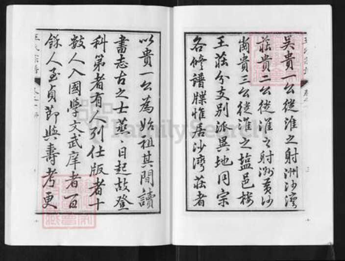 江苏省盐城市阜宁县新沟镇王氏族谱-沙湾王氏宗谱.pdf电子版预览图5