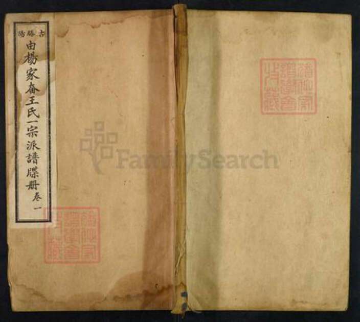 山东省枣庄市滕州市王氏三槐堂族谱-古滕阳由杨家奋王氏一宗派谱碟册.pdf电子版缩略图