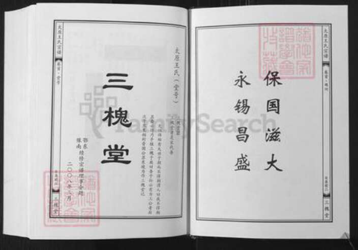 湖北省武汉市黄陂区王氏三槐堂族谱-太原王氏宗谱.pdf电子版预览图2