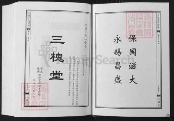 湖北省武汉市黄陂区王氏三槐堂族谱-太原王氏宗谱.pdf电子版预览图3