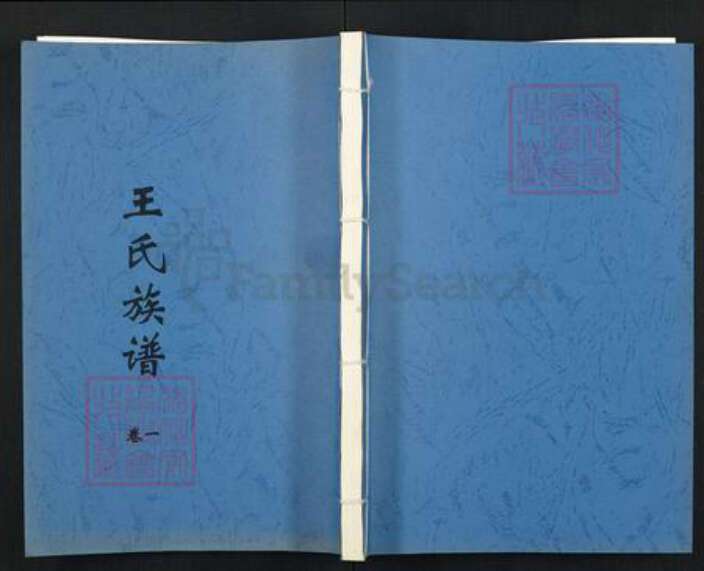 江苏省徐州市沛县王氏族谱-王氏族谱.pdf电子版缩略图