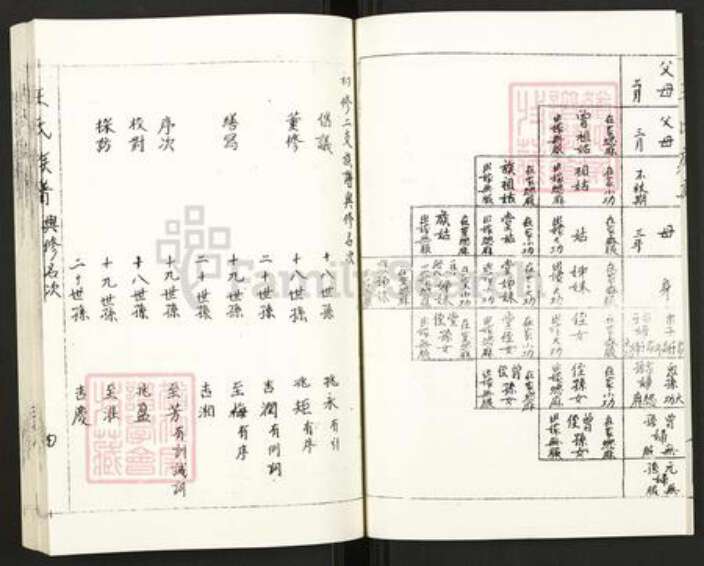 江苏省徐州市沛县王氏族谱-王氏族谱.pdf电子版预览图4