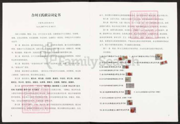 重庆市合川区王氏族谱-合川王氏联宗谱.pdf电子版预览图2