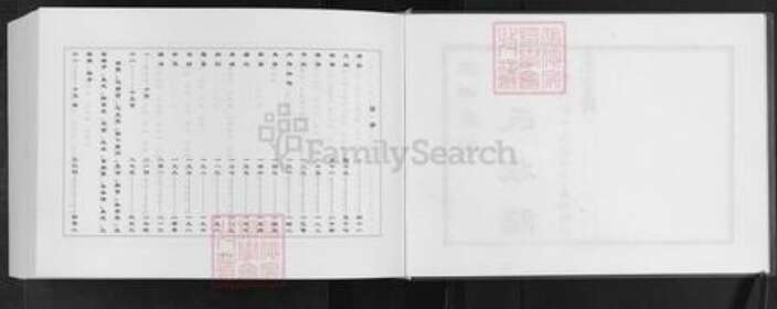 山东省潍坊市安丘市王氏族谱-安邱藁街王氏族谱.pdf电子版预览图2