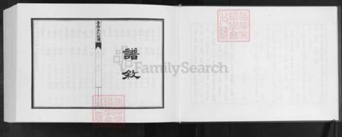 山东省潍坊市安丘市王氏族谱-安邱藁街王氏族谱.pdf电子版预览图4