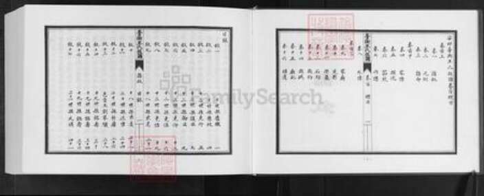 山东省潍坊市安丘市王氏族谱-安邱藁街王氏族谱.pdf电子版预览图5