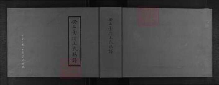 山东省潍坊市安丘市王氏族谱-安丘藁街王氏族谱.pdf电子版缩略图