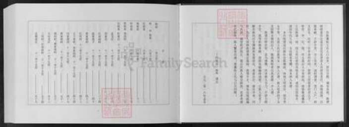 山东省潍坊市安丘市王氏族谱-安丘藁街王氏族谱.pdf电子版预览图4