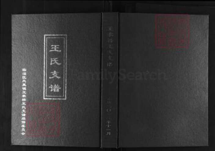 山东省淄博市临淄区凤凰镇王氏族谱-王家桥王氏支谱.pdf电子版缩略图