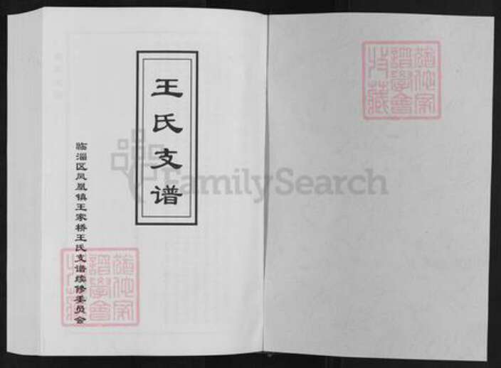 山东省淄博市临淄区凤凰镇王氏族谱-王家桥王氏支谱.pdf电子版预览图1