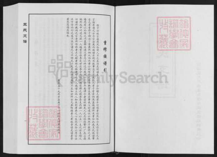 山东省淄博市临淄区凤凰镇王氏族谱-王家桥王氏支谱.pdf电子版预览图2