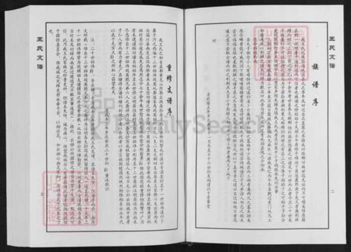 山东省淄博市临淄区凤凰镇王氏族谱-王家桥王氏支谱.pdf电子版预览图3