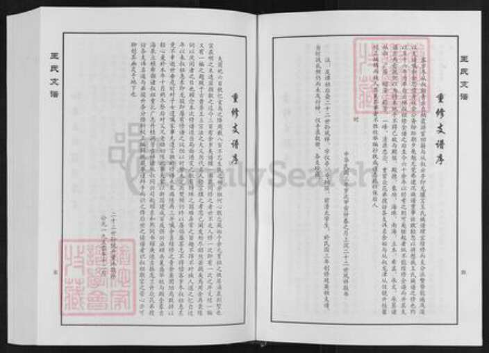 山东省淄博市临淄区凤凰镇王氏族谱-王家桥王氏支谱.pdf电子版预览图4