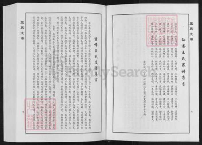 山东省淄博市临淄区凤凰镇王氏族谱-王家桥王氏支谱.pdf电子版预览图5