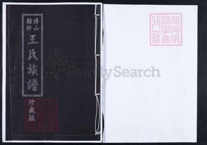 山东省淄博市博山区王氏族谱-博山颜神王氏族谱.pdf电子版缩略图