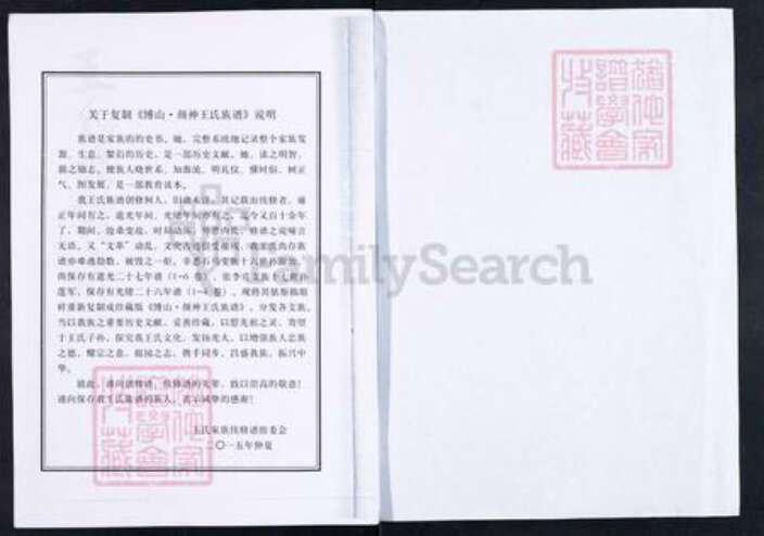 山东省淄博市博山区王氏族谱-博山颜神王氏族谱.pdf电子版预览图1