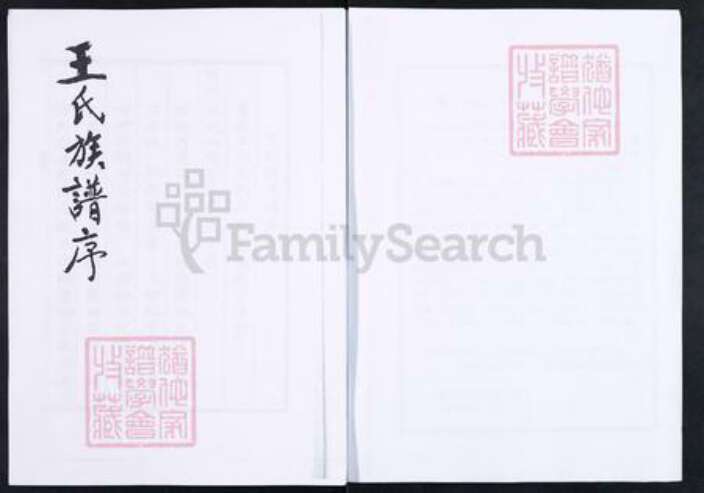 山东省淄博市博山区王氏族谱-博山颜神王氏族谱.pdf电子版预览图2