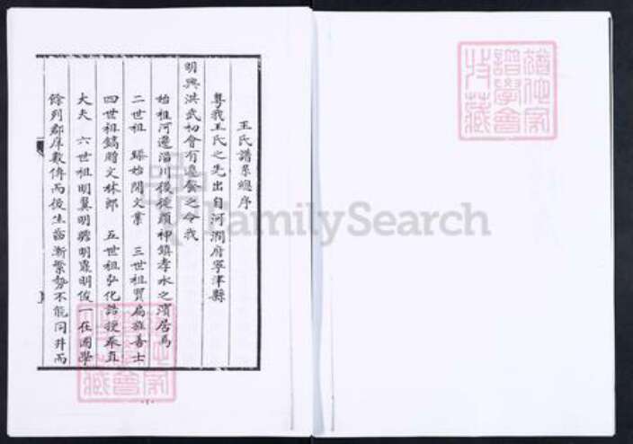 山东省淄博市博山区王氏族谱-博山颜神王氏族谱.pdf电子版预览图3