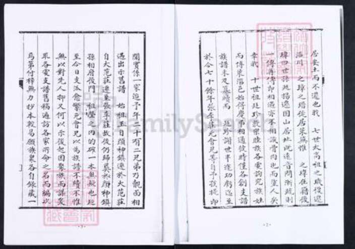 山东省淄博市博山区王氏族谱-博山颜神王氏族谱.pdf电子版预览图4