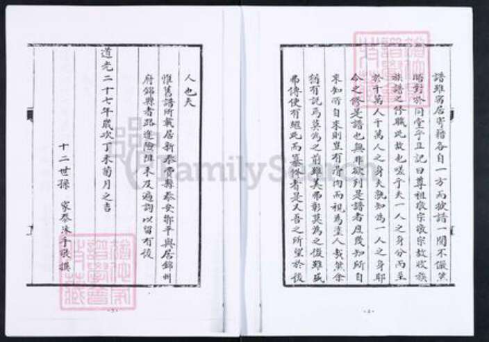 山东省淄博市博山区王氏族谱-博山颜神王氏族谱.pdf电子版预览图5