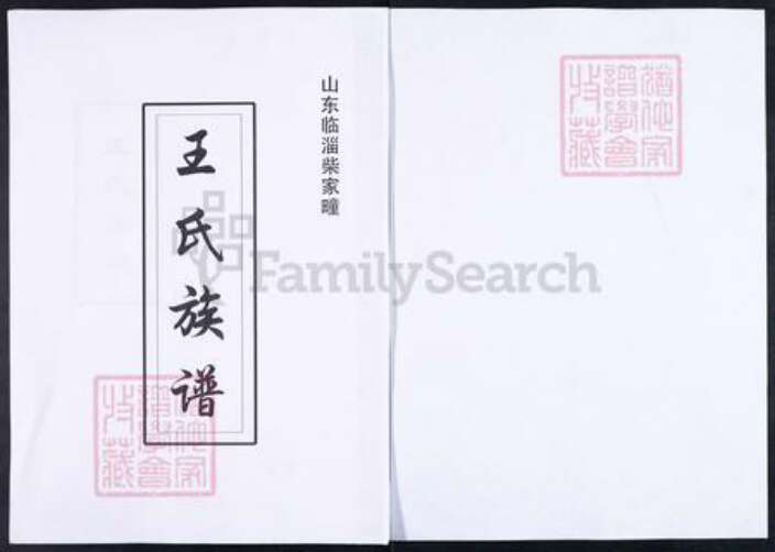 山东省淄博市临淄区王氏对包堂族谱-山东临淄柴家疃王氏族谱.pdf电子版缩略图