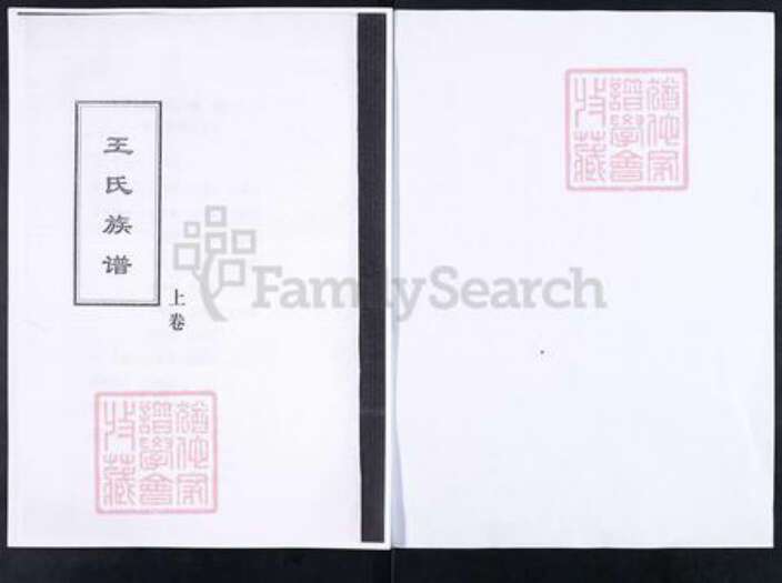 山东省淄博市临淄区王氏对包堂族谱-山东临淄柴家疃王氏族谱.pdf电子版预览图1