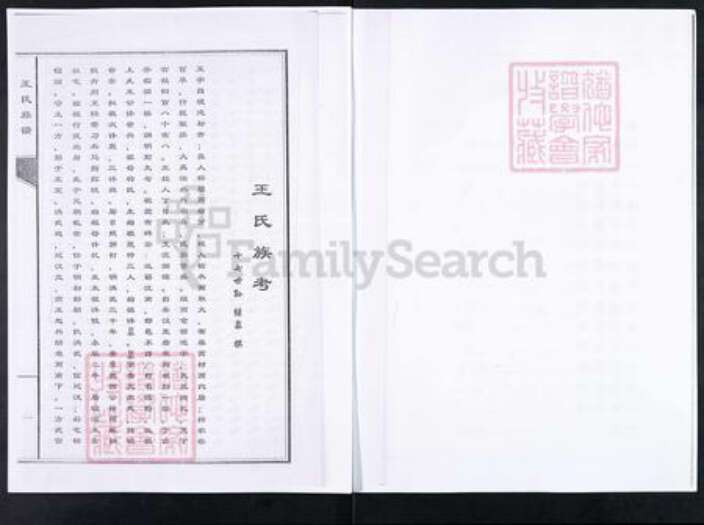 山东省淄博市临淄区王氏对包堂族谱-山东临淄柴家疃王氏族谱.pdf电子版预览图4