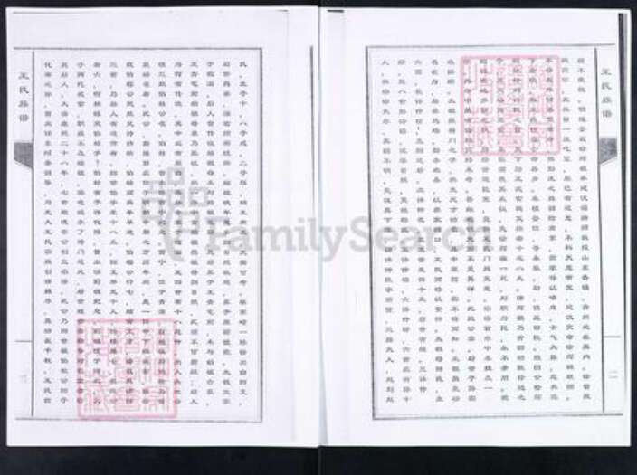 山东省淄博市临淄区王氏对包堂族谱-山东临淄柴家疃王氏族谱.pdf电子版预览图5