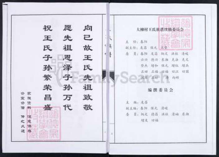 山东省淄博市临淄区朱台镇王氏族谱-临淄大柳树屯王氏族谱.pdf电子版预览图2