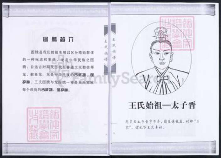 山东省淄博市临淄区朱台镇王氏族谱-临淄大柳树屯王氏族谱.pdf电子版预览图5