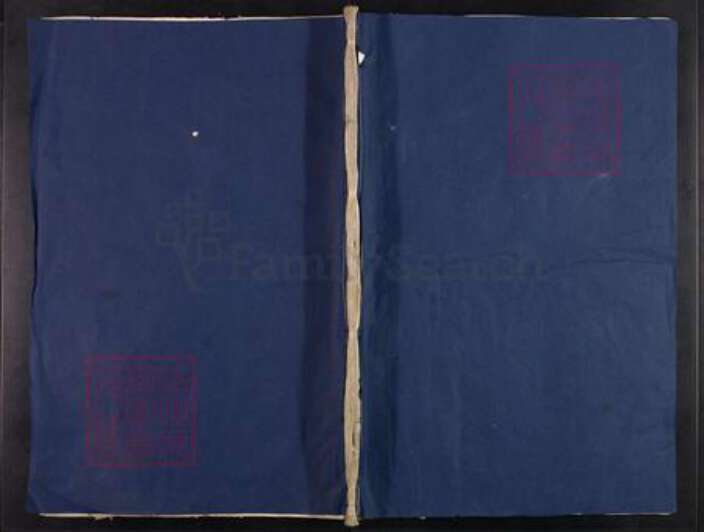 浙江省衢州常山县球川镇王氏崇本堂族谱-龙川王氏宗谱.pdf电子版缩略图