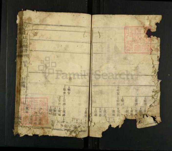 江西省王氏三槐堂族谱-邵湘王氏续谱.pdf电子版预览图2